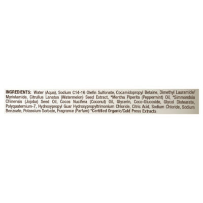 Raw Sugar Hand Wash Watermelon Mint - 12 OZ - Image 3