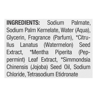 Raw Sugar Eco Bar Soap Watermelon/mint - 5 OZ - Image 4