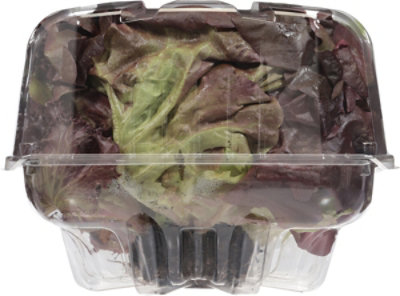 Hydroponic Living Spring Mix - EA - Image 3
