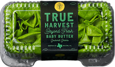 True Harvest Baby Butter Lettuce - 1EA - Image 1