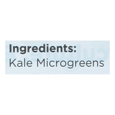 Aerofarms Micro Kale 2oz - 2 OZ - Image 4