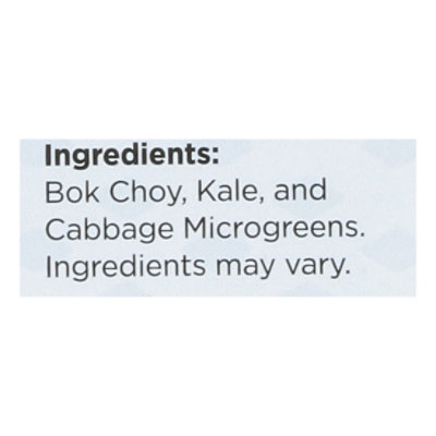 Aerofarms Micro Super Mix 2oz - 2 OZ - Image 4