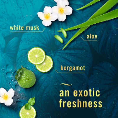 Febreze Luxe Air Mist Air Freshener, Rainforest - 2-8.1 Oz. - 2-8.1 OZ - Image 4