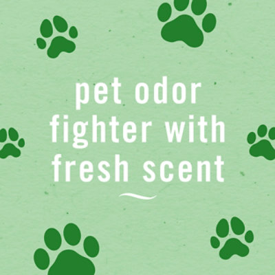 Febreze Air Mist Air Freshener Pet Odor Fighter, Fresh Scent - 2-8.1 Oz. - 2-8.1 OZ - Image 4