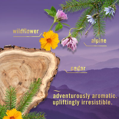 Febreze Luxe Air Mist Air Freshener, Mountain - 2-.81 Oz. - 2-8.1 OZ - Image 4