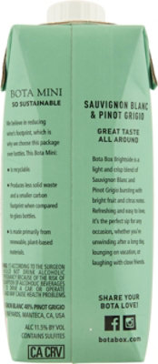 Bota Mini Brightside Wine - 500 ML - Image 3