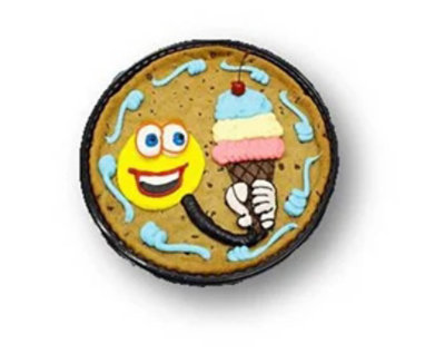 Happy With Ice Cream Message Cookie - Image 1