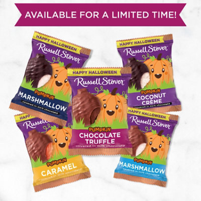 Russell Stover Pumpkin Milk Chocolate Truffle - 1.3 OZ - Image 5