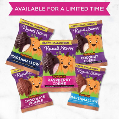 Russell Stover Pumpkin Dark Chocolate Raspberry Creme - 1.3 OZ - Image 5