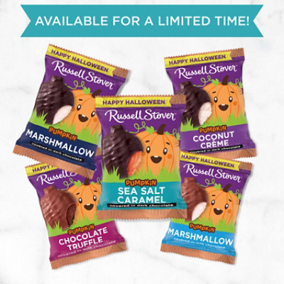 Russell Stover Pumpkin Dark Chocolate Sea Salt Caramel - 1.3 OZ - Image 5