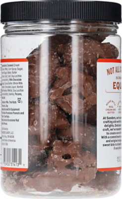 Sanders Milk Chocolate Sea Salt Caramels Pecan Clusters Tub - 16 OZ - Image 5