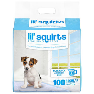 Lil Squirts Training Pads - 100 CT - Image 1