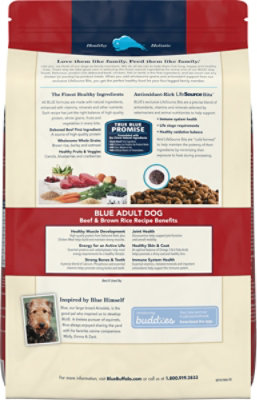 Blue Buffalo Life Protection Formula Adult Dry Dog Food, Beef & Brown Rice 15lb - 15 LB - Image 5