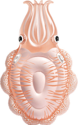 Int Cuttlefish Float - Each - Image 1