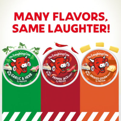 The Laughing Cow Dill Pickle - 5.4 OZ - Image 6