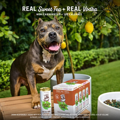 Lucky One Iced Tea Cans - 4-355 ML - Image 3
