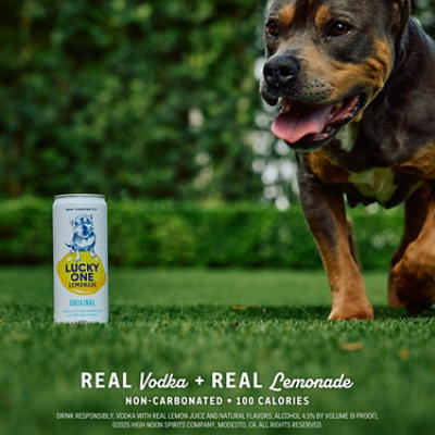 Lucky One Lemonade Original Can - 16 FZ - Image 4