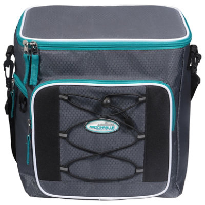 Arizona Blu 24 Can Honeycomb Cooler - Each - Image 1