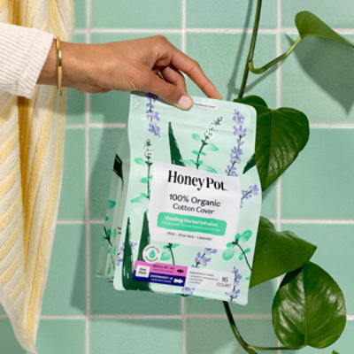 Honey Pot Regular & Overnight Duo Pack Pads - 16 Count - Image 7