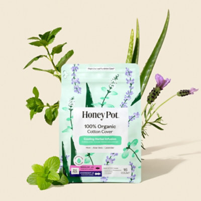 Honey Pot Regular & Overnight Duo Pack Pads - 16 Count - Image 3