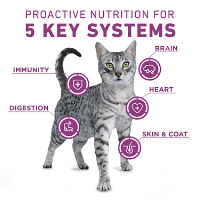 Purina One Dry Cat Whole Body Support Chicken - 7 LB - Image 4