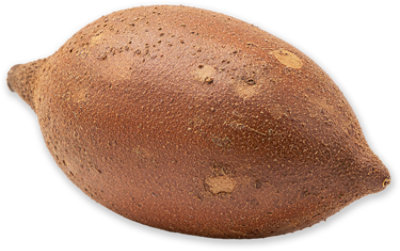 Sapote Mamey - Image 1