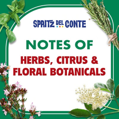 Spritz Del Conte Vermouth Wine - 750 ML - Image 2