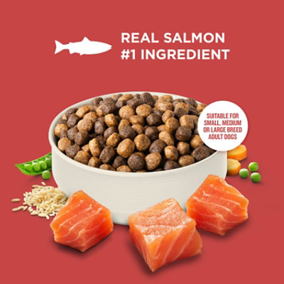 Rachael Ray Nutrish Dry Dog Salmon, Veggies & Brown Rice Recipe - 12 LB - Image 5
