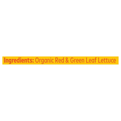 Olivias Crunch Red And Green 8oz - 8 OZ - Image 4