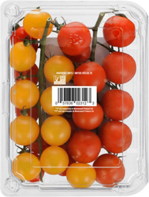 Sunset Bombs Squad On-the-vine Tomatoes 12oz - 12 OZ - Image 3