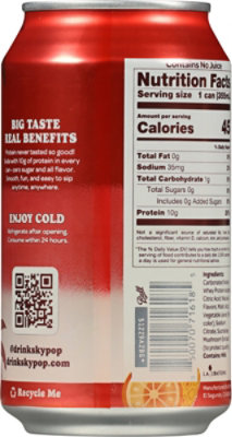 Skypop Fruit Punch 12fz - 12 FZ - Image 5