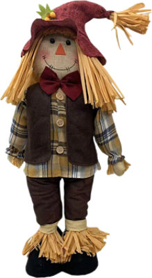 Signature Select Scarecrow Greeter Boy - Each - Image 1