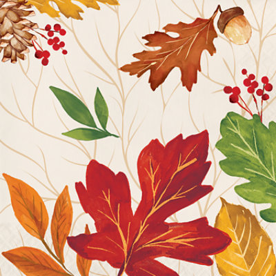 Signature Select Rustic Elegance Lunch Napkins - 16 Count - Image 1