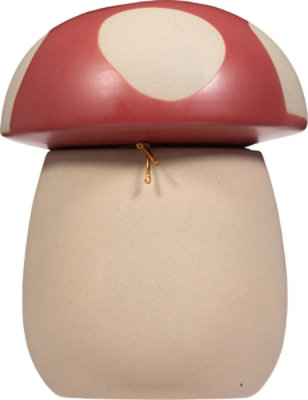 Paddywax Apple Cider Mushroom Candle - 8 Oz - Image 3