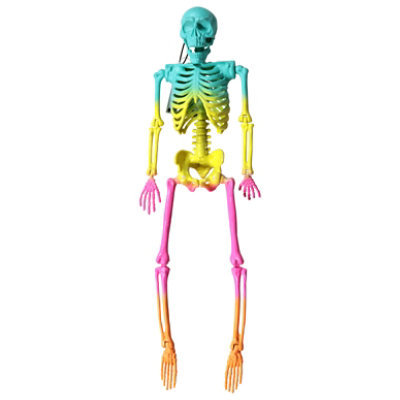 Fun World Summerween 16 Inch Skeleton - Each - Image 1