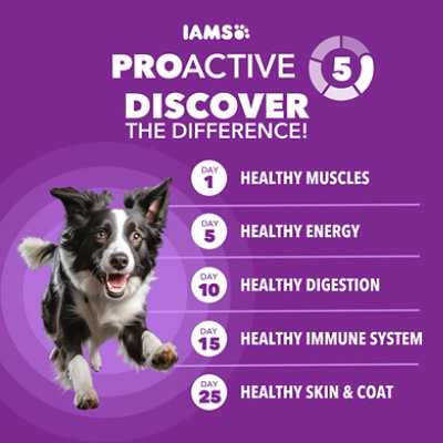 Iams Avd Ck & Whl Grn 4.5 Lb - 4.5 LB - Image 5