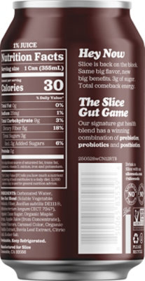 Slice Root Beer Healthy Soda - 12 FZ - Image 5