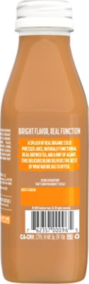 Evolution Fresh Organic Mango Peach Green Tea Focus 15fz - 15 FZ - Image 5
