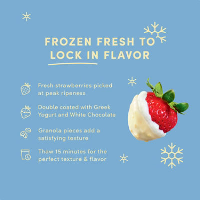 Tru Fru Fruit Frozen Strawberry Yogurt - 8 OZ - Image 3