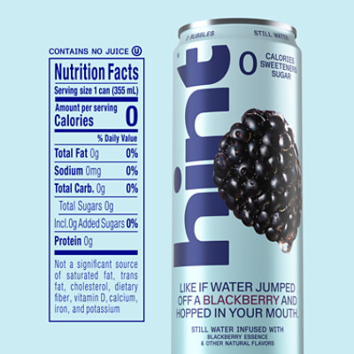 Hint Water Blackberry Can - 12 FZ - Image 3