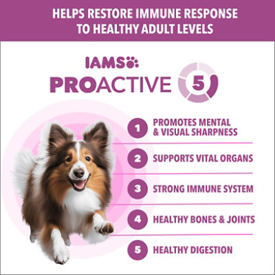 Iams Prh Hlthy Aging Ck 4/5 Lb - 5 LB - Image 5
