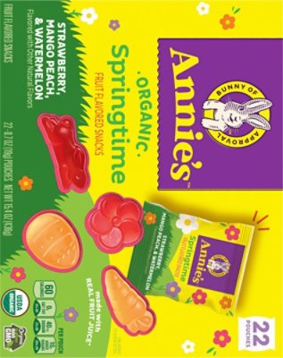 Annies Organic Spring Fruit Snacks 22 Count - 15.4 OZ - Image 5