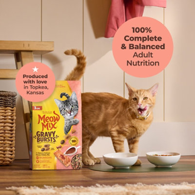 Meow Mix 3 Pound Gravy Bursts Salmon Each - 3 LB - Image 3