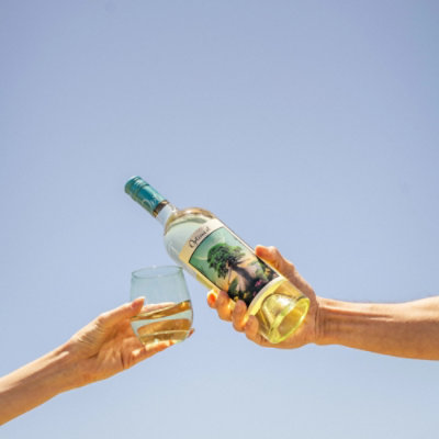 Optimist Sauvignon Blanc Wine - 750 ML - Image 2