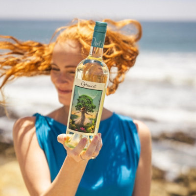 Optimist Sauvignon Blanc Wine - 750 ML - Image 5