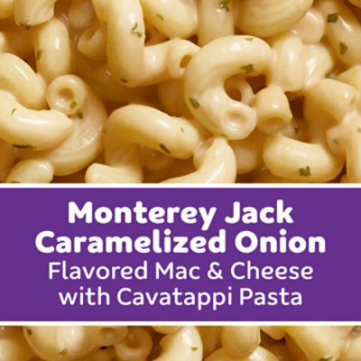 Kraft Monterey Jack Caramelized Onion 9.5oz - 9.5 OZ - Image 2