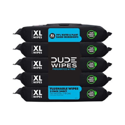 Dude Wipes 48ct Unscented 5-pack - 5-48 CT - Image 1