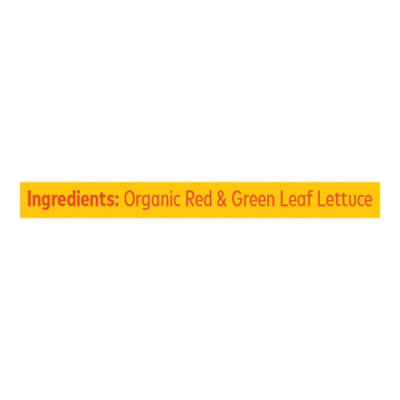 Olivias Crunch Red And Green 4oz - 4 OZ - Image 4