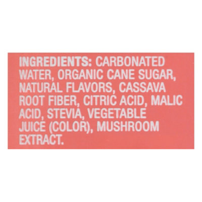 Lady Bird Soda Grapefruit - 12 FZ - Image 4