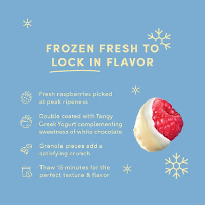 Tru Fru Frozen Raspberry Greek Yogurt - 8 OZ - Image 4